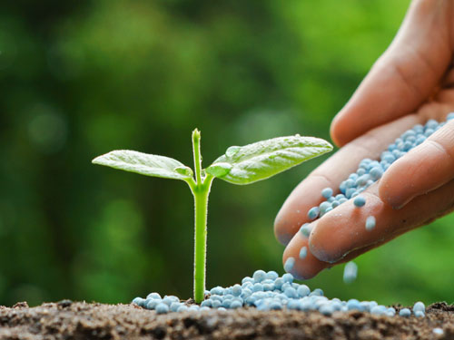 animal feed fertilizer,caustic soda